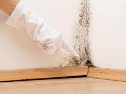 Best Mold Odor Removal Services  in West View, PA